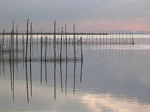 Islas